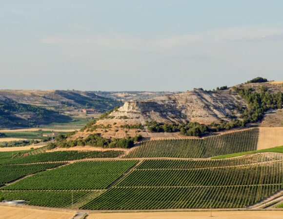 Luxury Winnery & Toledo Tour